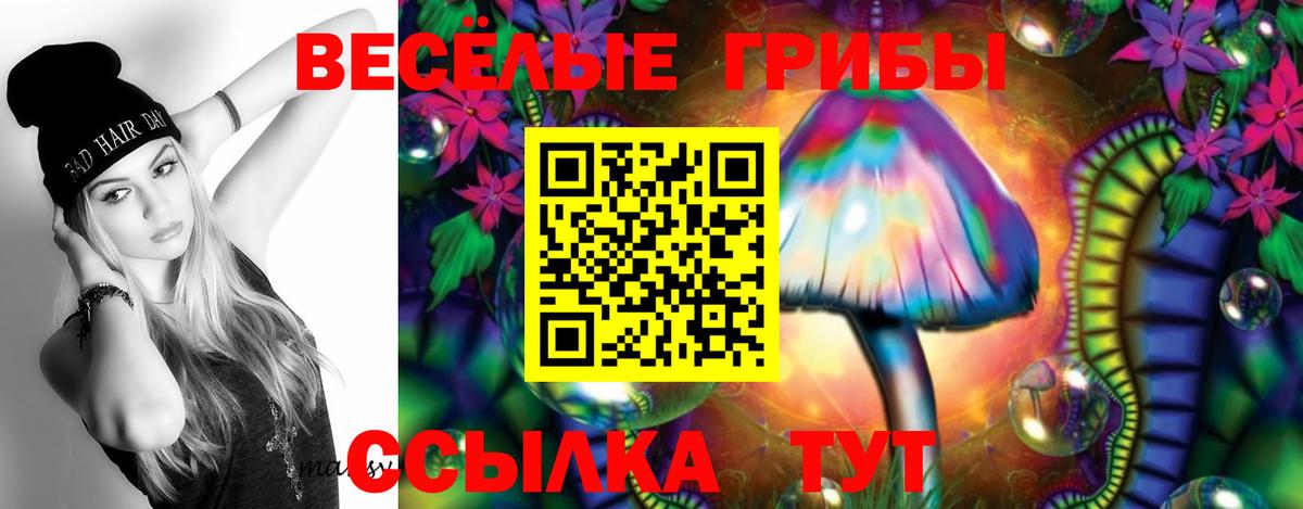 Псилоцибиновые грибы GOLDEN TEACHER Сибай